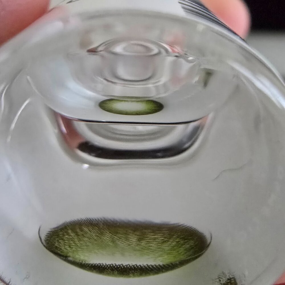 New Sealed Toric Green Lenses - Picture 2 of 6